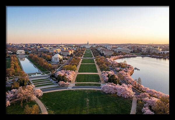 National Mall From Washington Monument