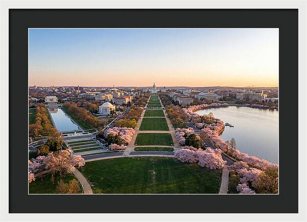 National Mall From Washington Monument