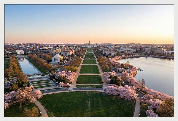 National Mall From Washington Monument