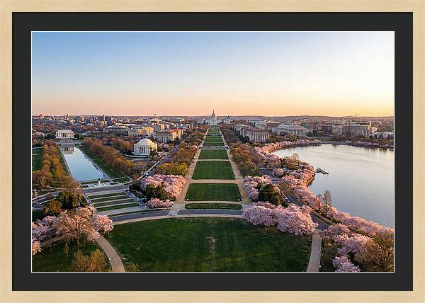 National Mall From Washington Monument