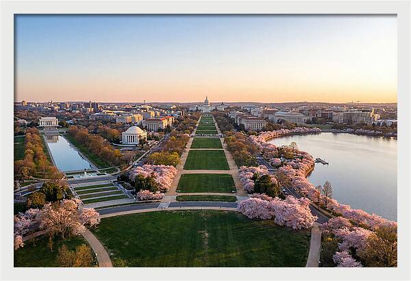 National Mall From Washington Monument