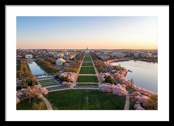 National Mall From Washington Monument