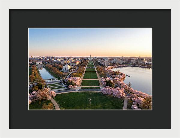 National Mall From Washington Monument