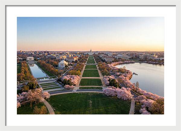 National Mall From Washington Monument