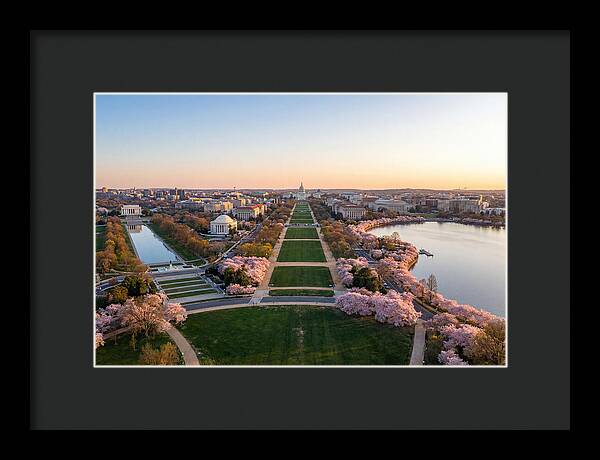 National Mall From Washington Monument