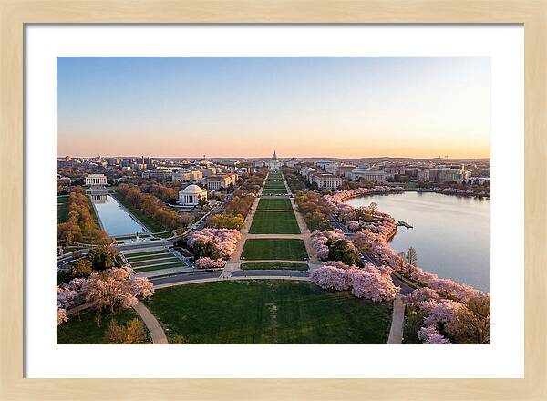 National Mall From Washington Monument
