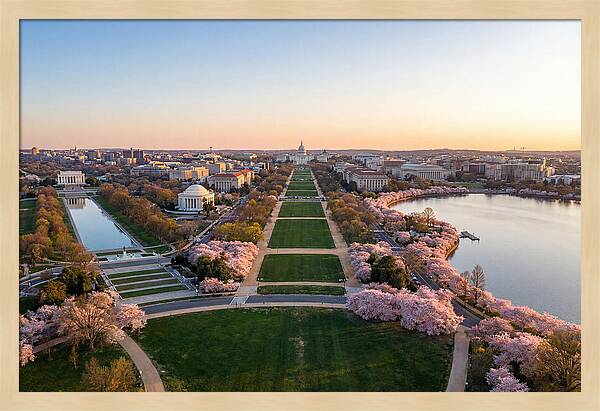 National Mall From Washington Monument