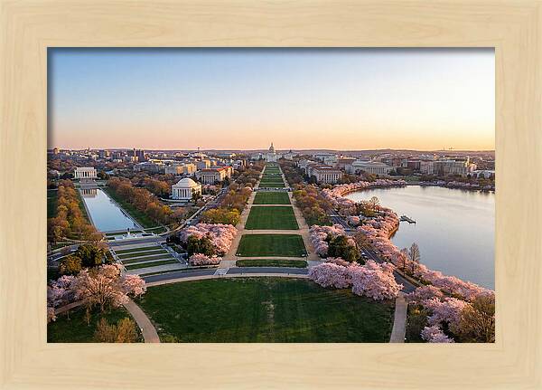 National Mall From Washington Monument