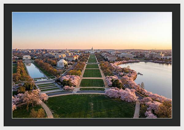 National Mall From Washington Monument