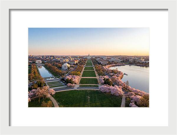 National Mall From Washington Monument
