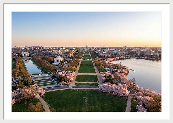 National Mall From Washington Monument