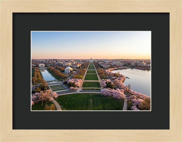 National Mall From Washington Monument