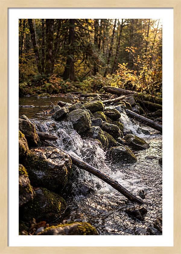 Natural Dam Serenity