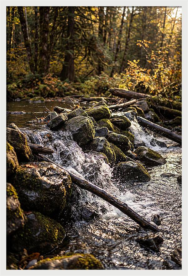 Natural Dam Serenity