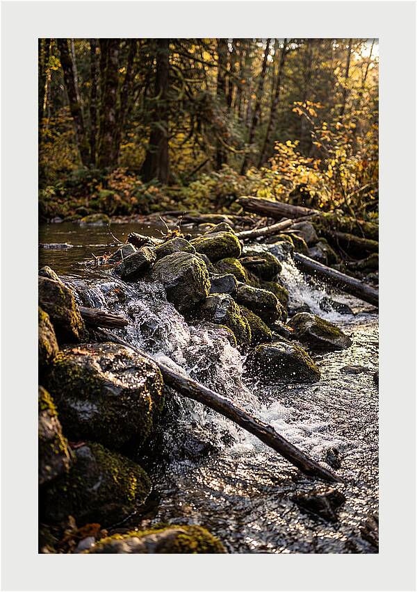 Natural Dam Serenity