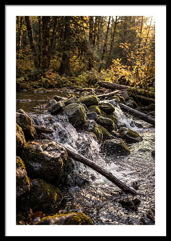 Natural Dam Serenity