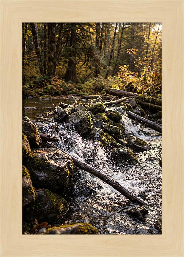 Natural Dam Serenity
