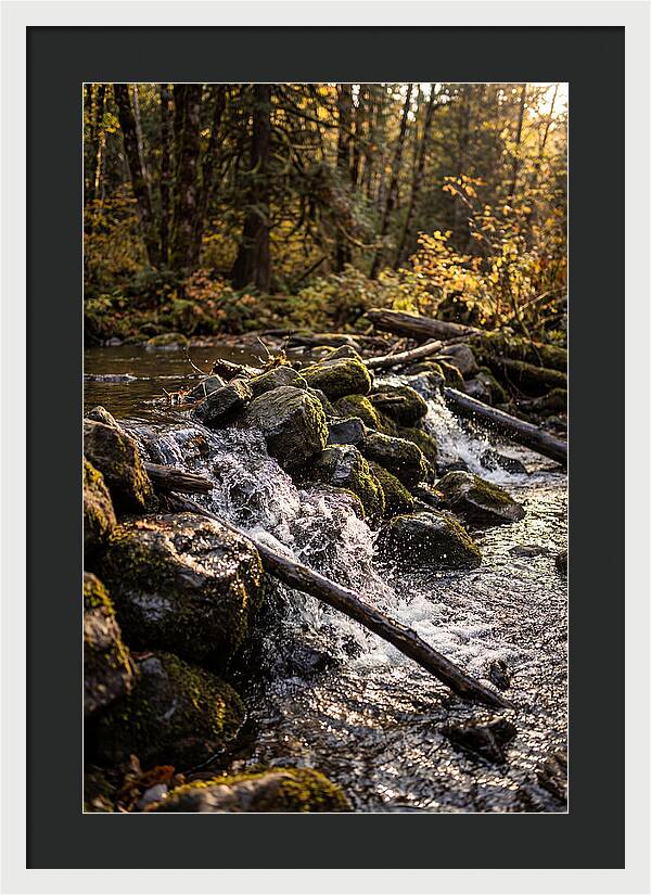 Natural Dam Serenity