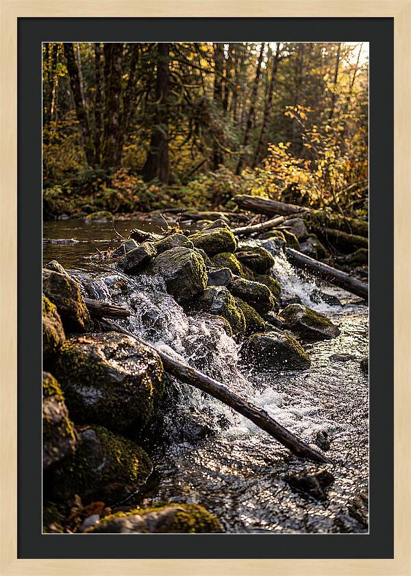 Natural Dam Serenity