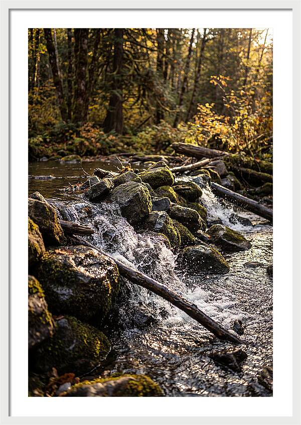 Natural Dam Serenity