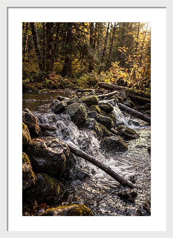 Natural Dam Serenity