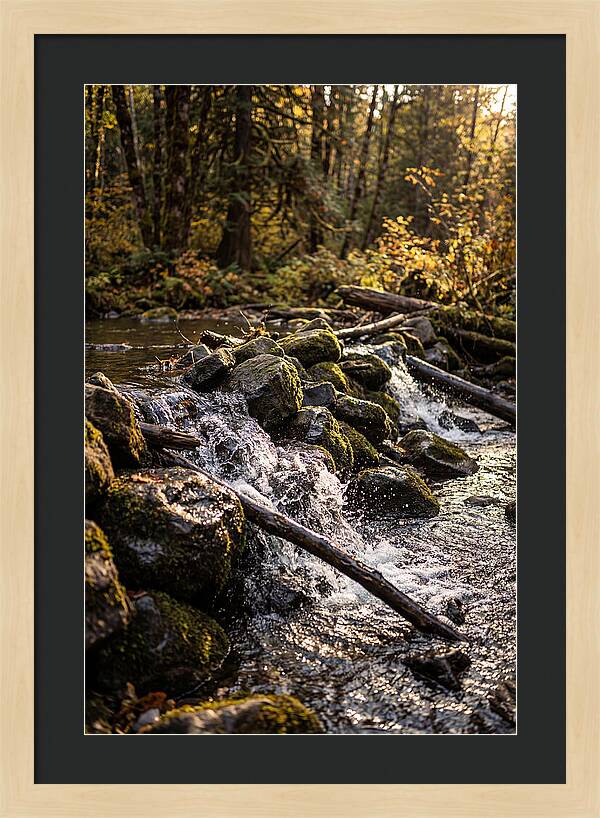 Natural Dam Serenity