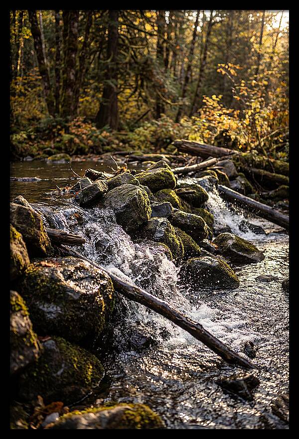 Natural Dam Serenity