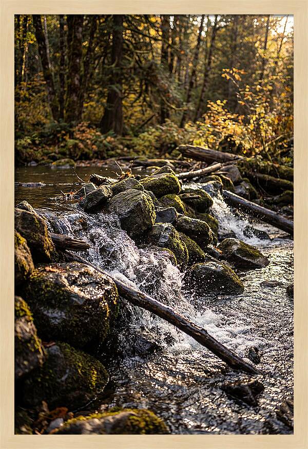 Natural Dam Serenity