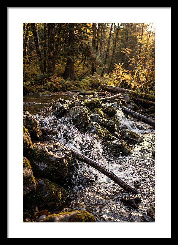 Natural Dam Serenity