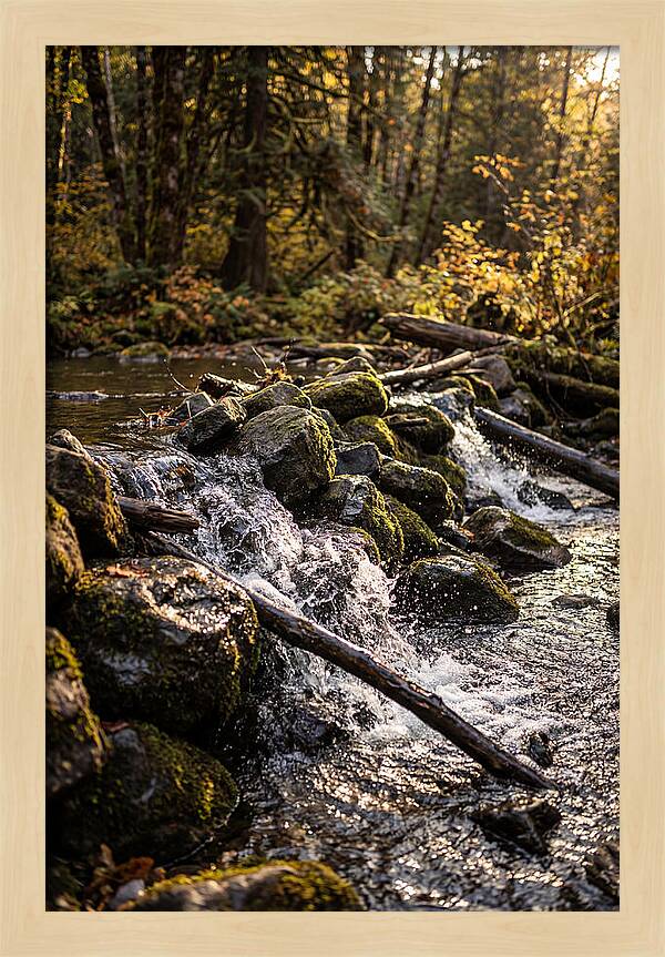 Natural Dam Serenity