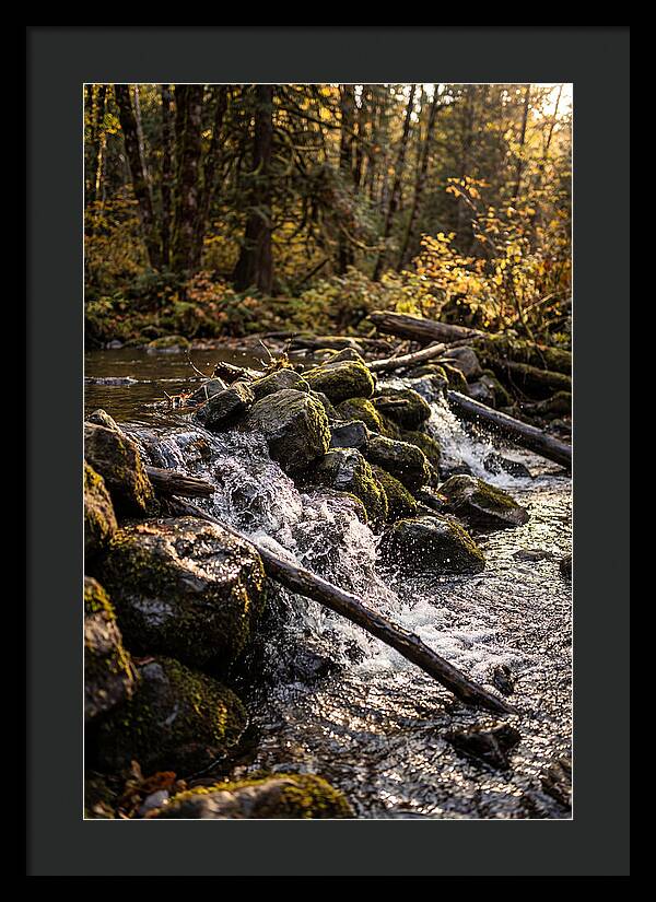 Natural Dam Serenity