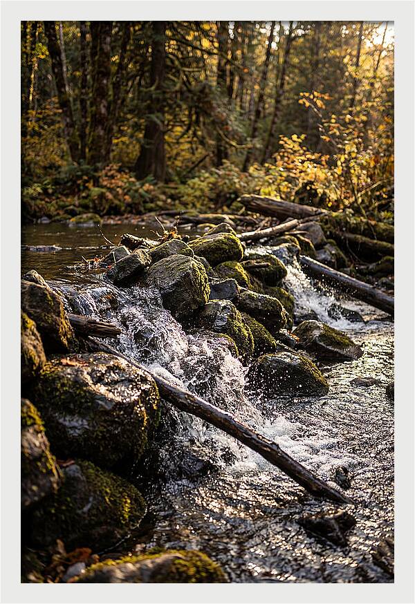Natural Dam Serenity