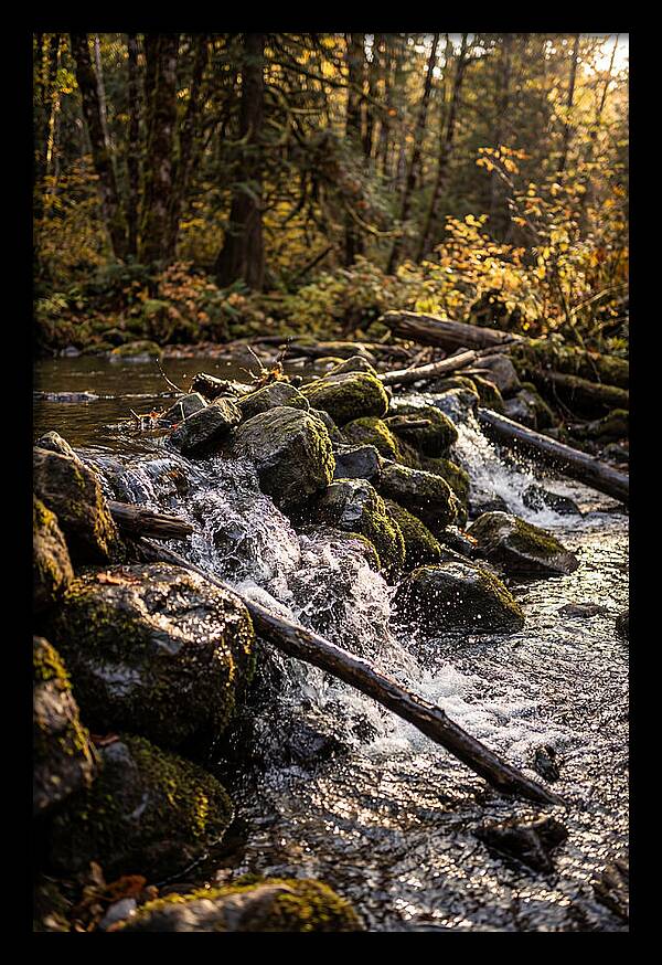 Natural Dam Serenity