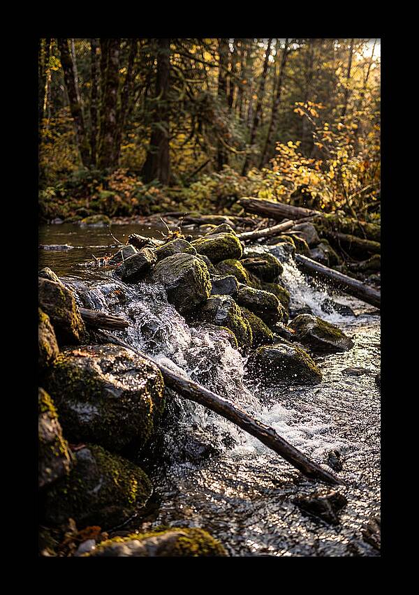 Natural Dam Serenity