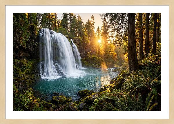 Natural Falls Serenity