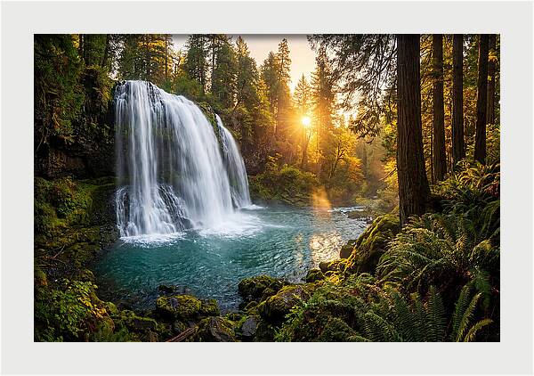 Natural Falls Serenity