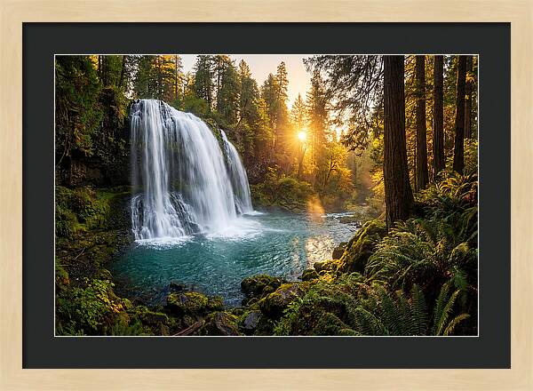 Natural Falls Serenity