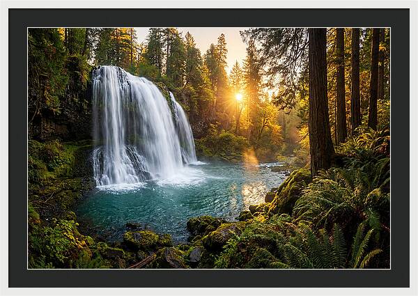 Natural Falls Serenity
