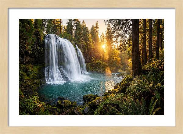 Natural Falls Serenity
