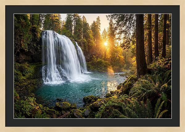 Natural Falls Serenity