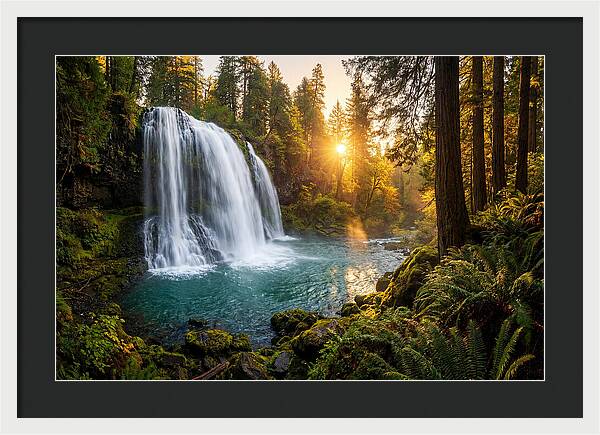 Natural Falls Serenity