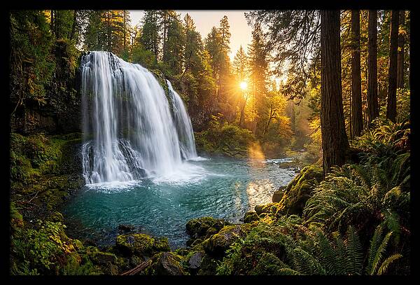 Natural Falls Serenity