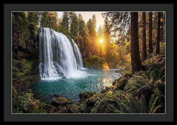 Natural Falls Serenity