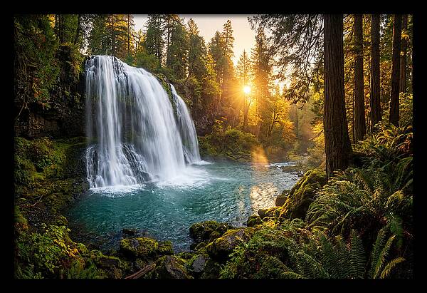 Natural Falls Serenity