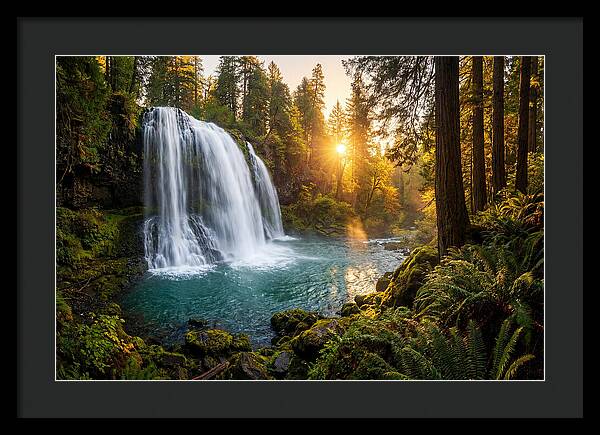 Natural Falls Serenity