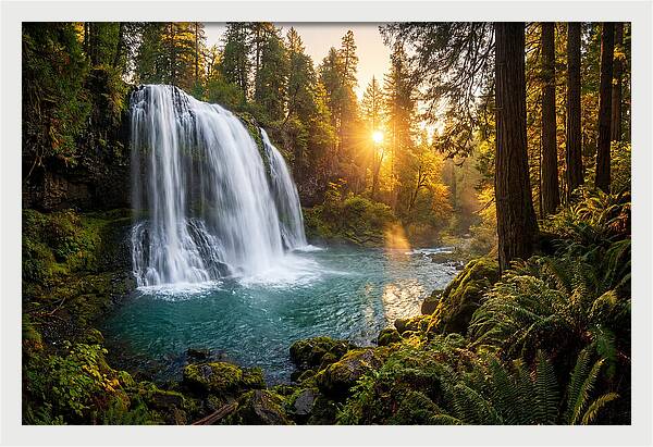 Natural Falls Serenity
