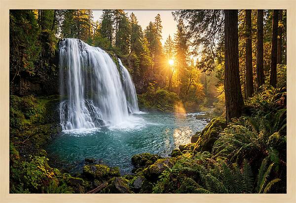 Natural Falls Serenity