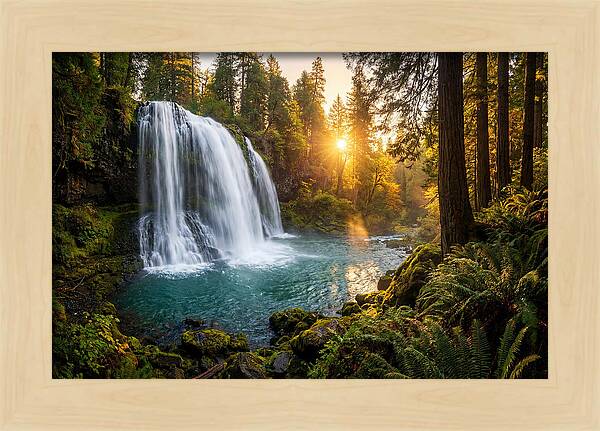 Natural Falls Serenity