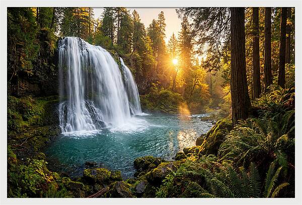 Natural Falls Serenity