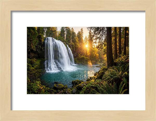 Natural Falls Serenity